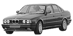 BMW E34 P1101 Fault Code